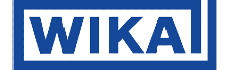 Wika Instruments India